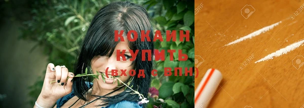 дживик Абинск