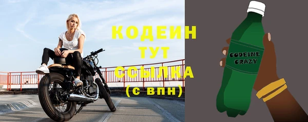 СК Сосновый Бор