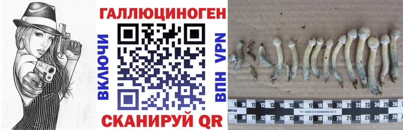 Галлюциногенные грибы мицелий  закладки  Екатеринбург 