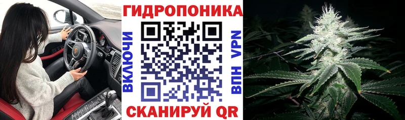 Бошки Шишки ГИДРОПОН  Екатеринбург 